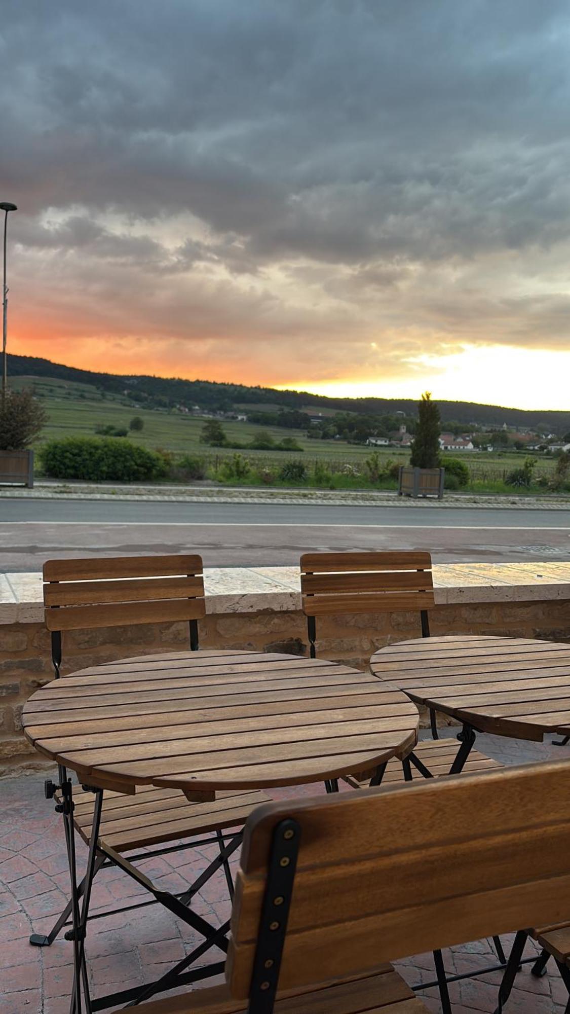 Logis Arts et Terroirs 4* Gevrey-Chambertin
